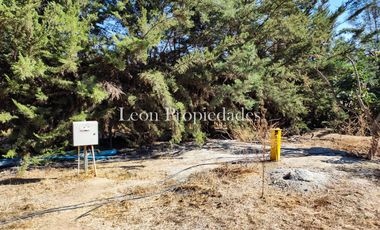 Leon Propiedades vende hermosa casa con piscina en el Pangal, Curacavi.