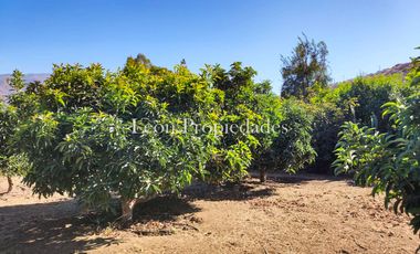 Leon Propiedades vende hermosa casa con piscina en el Pangal, Curacavi.