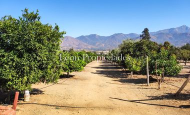 Leon Propiedades vende hermosa casa con piscina en el Pangal, Curacavi.