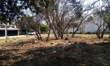 Venta de Terreno en las Fincas , Morelos.