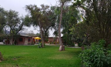 VENDO PRECIOSA CASA EN PACHACAMAC COMO TERRENO