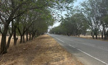 VENTA DE TERRENOS A ORILLA DE CARRETERA SAN MARTIN TILCAJETE OCOTLÁN