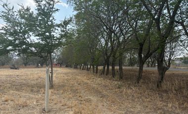 VENTA DE TERRENOS A ORILLA DE CARRETERA SAN MARTIN TILCAJETE OCOTLÁN