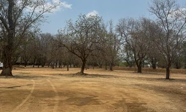 VENTA DE TERRENOS A ORILLA DE CARRETERA SAN MARTIN TILCAJETE OCOTLÁN