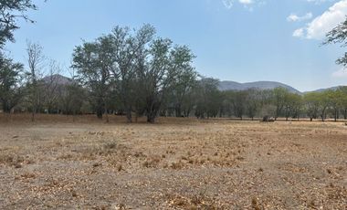 VENTA DE TERRENOS A ORILLA DE CARRETERA SAN MARTIN TILCAJETE OCOTLÁN