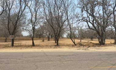 VENTA DE TERRENOS A ORILLA DE CARRETERA SAN MARTIN TILCAJETE OCOTLÁN