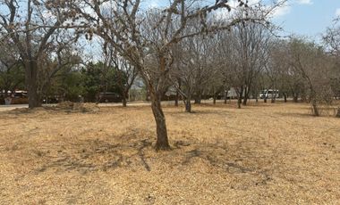 VENTA DE TERRENOS A ORILLA DE CARRETERA SAN MARTIN TILCAJETE OCOTLÁN