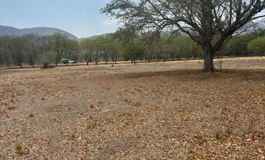 VENTA DE TERRENOS A ORILLA DE CARRETERA SAN MARTIN TILCAJETE OCOTLÁN