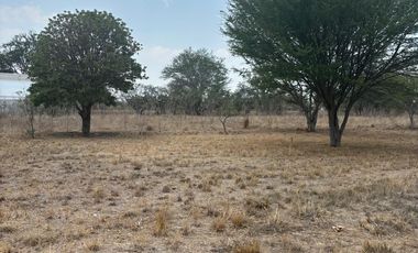 VENTA DE TERRENOS A ORILLA DE CARRETERA SAN MARTIN TILCAJETE OCOTLÁN