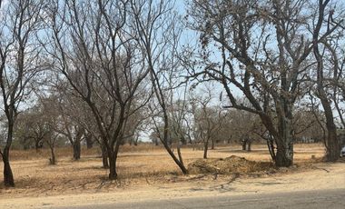 VENTA DE TERRENOS A ORILLA DE CARRETERA SAN MARTIN TILCAJETE OCOTLÁN