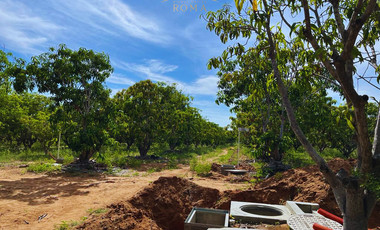 TERRENOS CERCA DE PLAYA EN PUERTO ESCONDIDO
