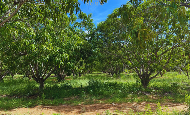 TERRENOS CERCA DE PLAYA EN PUERTO ESCONDIDO