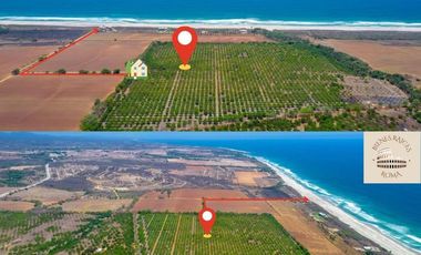 TERRENOS CERCA DE PLAYA EN PUERTO ESCONDIDO