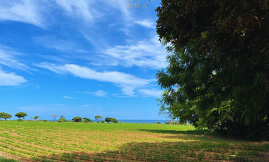 TERRENOS CERCA DE PLAYA EN PUERTO ESCONDIDO