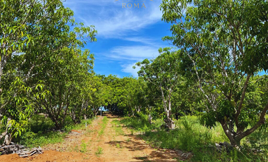 TERRENOS CERCA DE PLAYA EN PUERTO ESCONDIDO