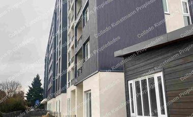 Departamento  en sector Isla Teja