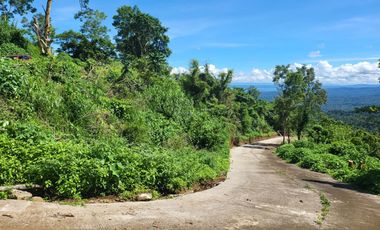 Farm lot in Cavite For sale near Tagaytay with view of Taal
