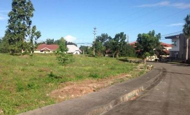 For Sale 155 Sqm Buildable Residential Land for Sale in Mandaue City, Cebu