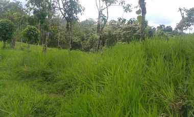 EN VENTA FINCA AGRICOLA, GANADERA SECTOR SAN MIGUEL DE LOS BANCOS