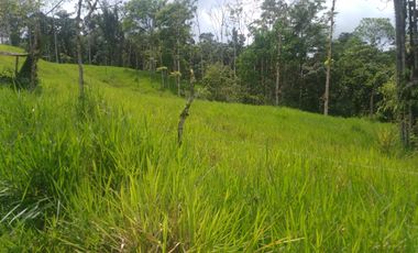 EN VENTA FINCA AGRICOLA, GANADERA SECTOR SAN MIGUEL DE LOS BANCOS