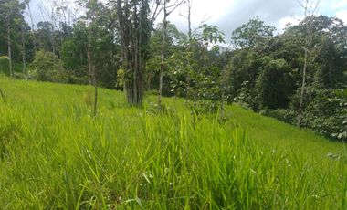 EN VENTA FINCA AGRICOLA, GANADERA SECTOR SAN MIGUEL DE LOS BANCOS