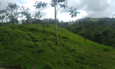 EN VENTA FINCA AGRICOLA, GANADERA SECTOR SAN MIGUEL DE LOS BANCOS
