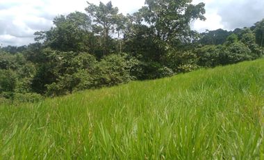 EN VENTA FINCA AGRICOLA, GANADERA SECTOR SAN MIGUEL DE LOS BANCOS