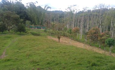 EN VENTA FINCA AGRICOLA, GANADERA SECTOR SAN MIGUEL DE LOS BANCOS