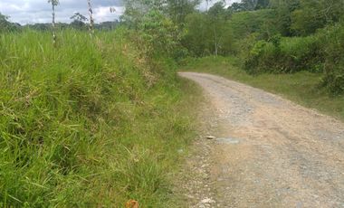 EN VENTA FINCA AGRICOLA, GANADERA SECTOR SAN MIGUEL DE LOS BANCOS