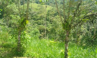 EN VENTA FINCA AGRICOLA, GANADERA SECTOR SAN MIGUEL DE LOS BANCOS