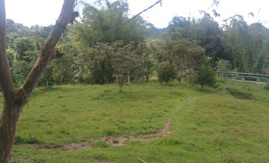 EN VENTA FINCA AGRICOLA, GANADERA SECTOR SAN MIGUEL DE LOS BANCOS
