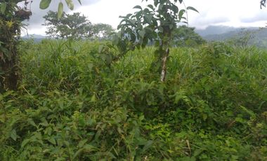 EN VENTA FINCA AGRICOLA, GANADERA SECTOR SAN MIGUEL DE LOS BANCOS