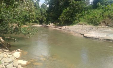 EN VENTA FINCA AGRICOLA, GANADERA SECTOR SAN MIGUEL DE LOS BANCOS