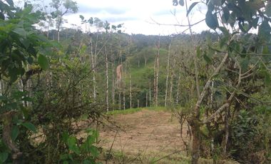 EN VENTA FINCA AGRICOLA, GANADERA SECTOR SAN MIGUEL DE LOS BANCOS