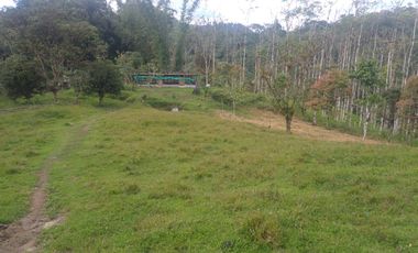 EN VENTA FINCA AGRICOLA, GANADERA SECTOR SAN MIGUEL DE LOS BANCOS