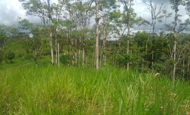 EN VENTA FINCA AGRICOLA, GANADERA SECTOR SAN MIGUEL DE LOS BANCOS
