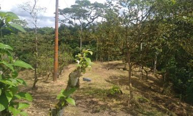 EN VENTA FINCA AGRICOLA, GANADERA SECTOR SAN MIGUEL DE LOS BANCOS