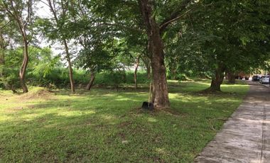 FOR LEASE PEZA INDUSTRIAL LOT Sta. Rosa Laguna 10,000sqm or 1 Hectare