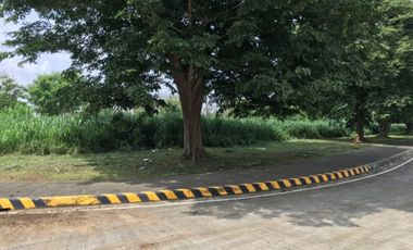 FOR LEASE PEZA INDUSTRIAL LOT Sta. Rosa Laguna 10,000sqm or 1 Hectare