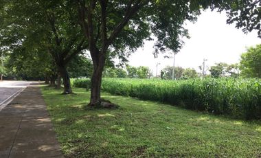 FOR LEASE PEZA INDUSTRIAL LOT Sta. Rosa Laguna 10,000sqm or 1 Hectare