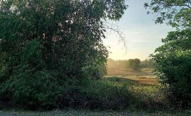 Lot in Alaminos Pangasinan