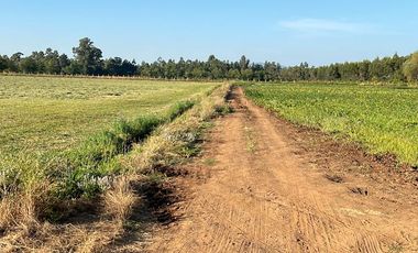 SE VENDE 6,7 HECTAREAS PLANAS IDEAL PARA USO AGRICOLA O SUBDIVISION, SAN CLEMENTE.
