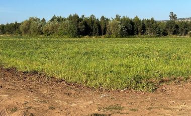 SE VENDE 6,7 HECTAREAS PLANAS IDEAL PARA USO AGRICOLA O SUBDIVISION, SAN CLEMENTE.