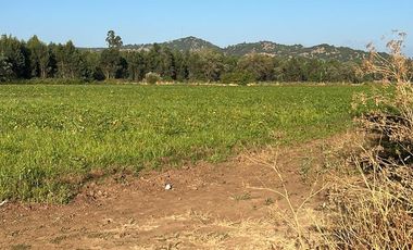 SE VENDE 6,7 HECTAREAS PLANAS IDEAL PARA USO AGRICOLA O SUBDIVISION, SAN CLEMENTE.