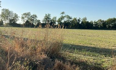 SE VENDE 6,7 HECTAREAS PLANAS IDEAL PARA USO AGRICOLA O SUBDIVISION, SAN CLEMENTE.