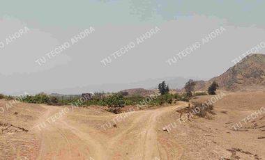 30 HECTÁREAS EN AUCALLAMA - HUARAL - GRAN OCASIÓN ‼️