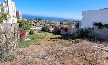 Concón Alto