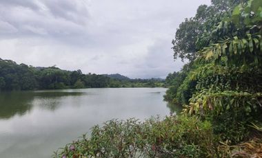 16.5 of land with profitable well water lake for sale in Takuapa, Phangnga