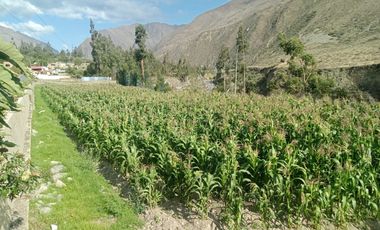 Terreno en Ollantaytambo 3330 m2 cusco Perú