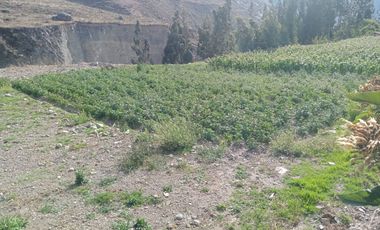 Terreno en Ollantaytambo 3330 m2 cusco Perú